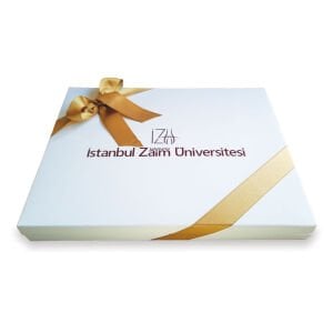 Büyük Boy Karton Kutuda 72 Adet Açık Madlen Çikolata